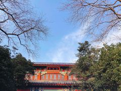 -灵谷景区