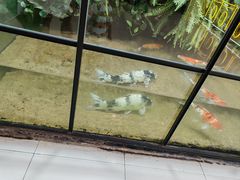 -凯德广场(学府店)