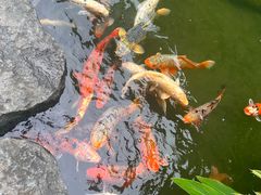 -广州花园酒店