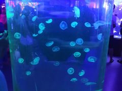 -五缘湾悦都汇购物中心
