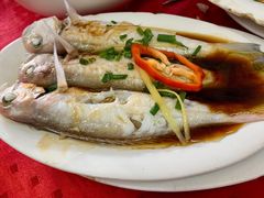 -蛇口康乐快餐鱼仔档(翠苑小区店)