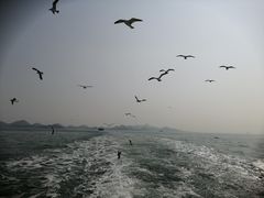 -海驴岛(荣成市)