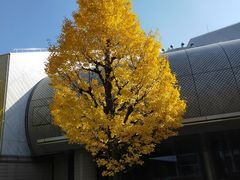 -涩谷区
