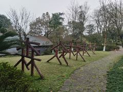 -南山植物园