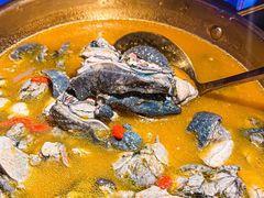 -Darling Queen·Mini·Live·House