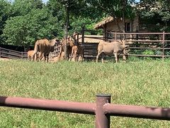 -济南野生动物世界