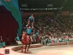 -俄罗斯国家大马戏团