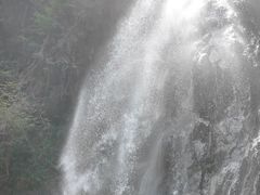 -姑婆山旅游区