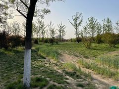 -汉长安城未央宫国家考古遗址公园