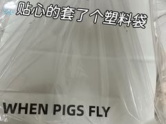 -WHEN PIGS FLY当猪飞