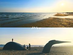 -金梦海湾浴场