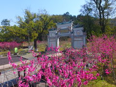 -常德桃花源景区