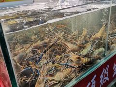 -岳各庄批发市场(西四环中路店)