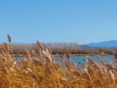 -野鸭湖国家湿地公园