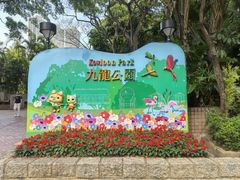 -九龙公园