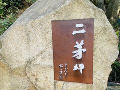 -惠山国家森林公园