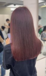 -潘多拉Hairsalon