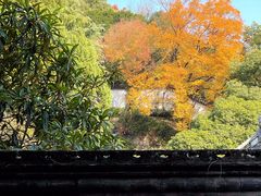 -宁波市保国寺古建筑博物馆