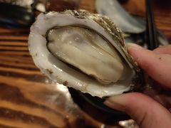 -土蚝·高压锅生蚝(百姓美食街店)