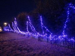 -岚桥锦江大酒店-瑞泰西餐厅