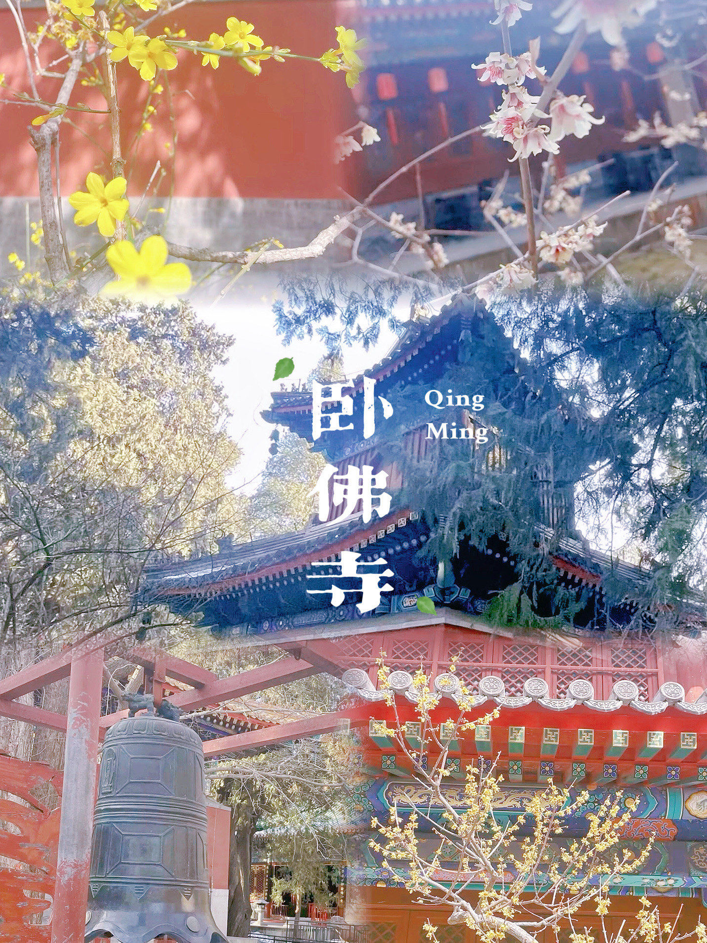 卧佛寺|藏在古刹里的春天