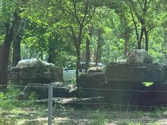 -秦皇岛野生动物园