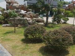 -呼吸森林·生态农庄农家乐私房菜