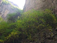 -山西通天峡景区