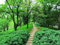 -元大都城垣遗址公园