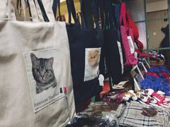 -猫咪博物馆(顶澳仔猫街店)