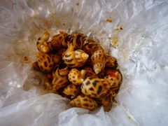 锡纸焗花螺-香山家宴