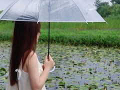 -陶辛水韵