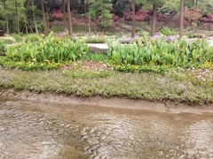 -重庆彩云湖湿地公园