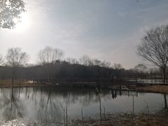 -梁鸿国家湿地公园