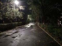 -长白岛森林公园