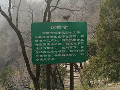 -北京鹫峰国家森林公园