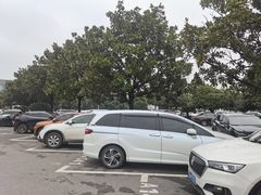 -长沙黄花国际机场-T1航站楼