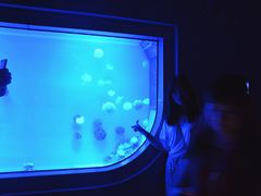 -福州罗源湾海洋世界旅游区