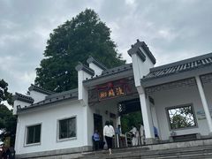 -陶辛水韵
