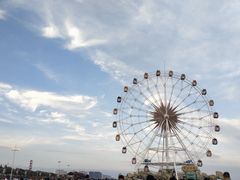 -奉贤海滩