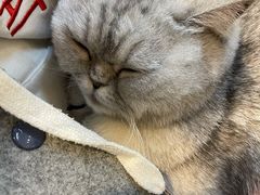 -Oasis绿洲银饰珍珠手作diy(壹方城店)