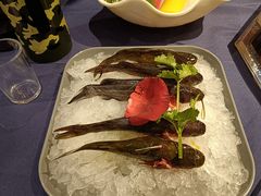 -蜀九香火锅(江油店)