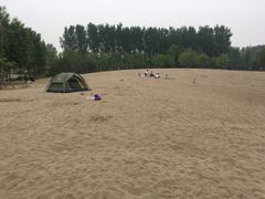 -东郊湿地公园