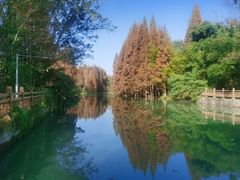 -桤木河湿地公园