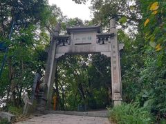 -梧桐山风景名胜区