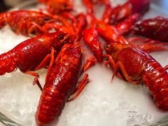 -红盔甲·小龙虾(定西路店)