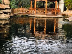 -龙达温泉生态城