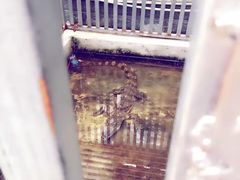 -龙达温泉生态城