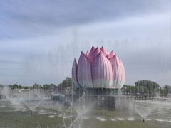-白洋淀风景区