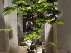 -东吴水韵(吴中店)